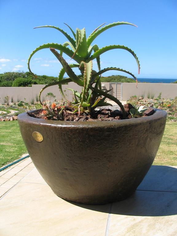 Bella Vista Onrus Villa Hermanus Dış mekan fotoğraf